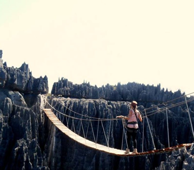 12043072_957989450905875_1968100948330664410_n