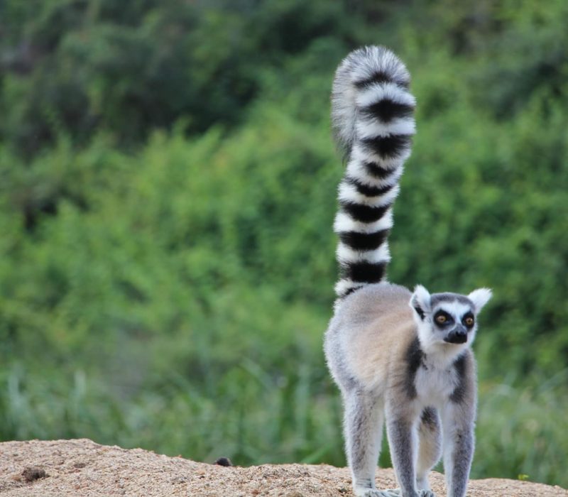 43878784_937346583138286_8686443756976603136_n